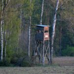 rustic wooden hunting stand in birch forest